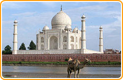  Taj in Agra 
